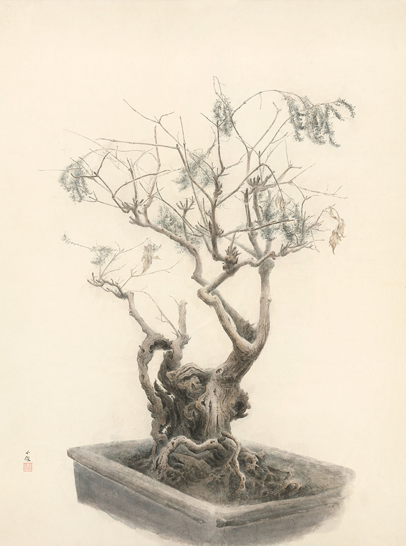 Penjing III